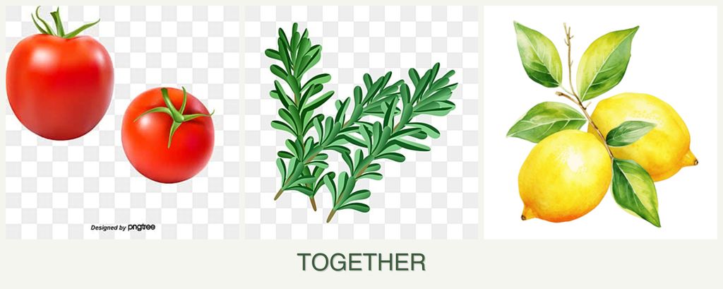 Can you plant tomatoes, rosemary and lemons together?