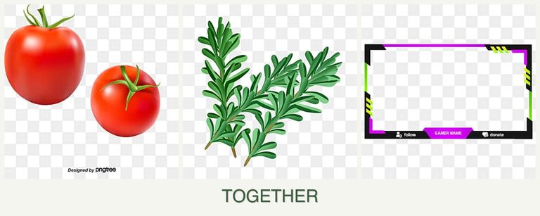 Can you plant tomatoes, rosemary and limes together?