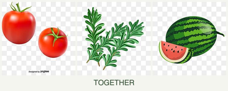 Can you plant tomatoes, rosemary and melons together?