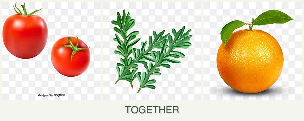 Can you plant tomatoes, rosemary and oranges together?