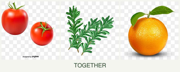 Can you plant tomatoes, rosemary and oranges together?