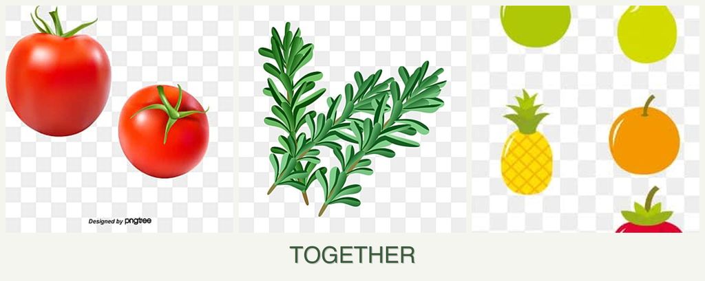 Can you plant tomatoes, rosemary and pears together?