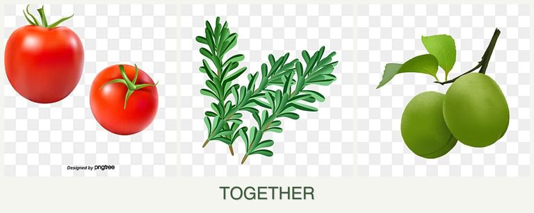 Can you plant tomatoes, rosemary and plums together?