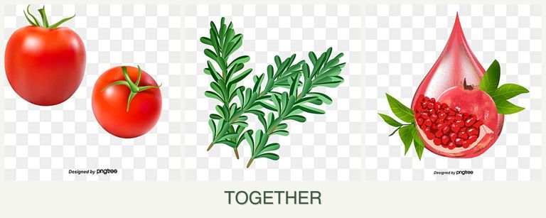 Can you plant tomatoes, rosemary and pomegranates together?