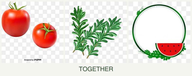 Can you plant tomatoes, rosemary and watermelons together?