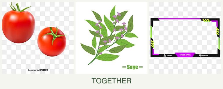 Can you plant tomatoes, sage and limes together?