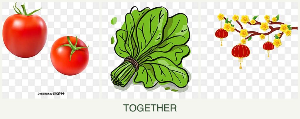 Can you plant tomatoes, spinach and apricots together?