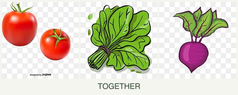 Can you plant tomatoes, spinach and beets together?