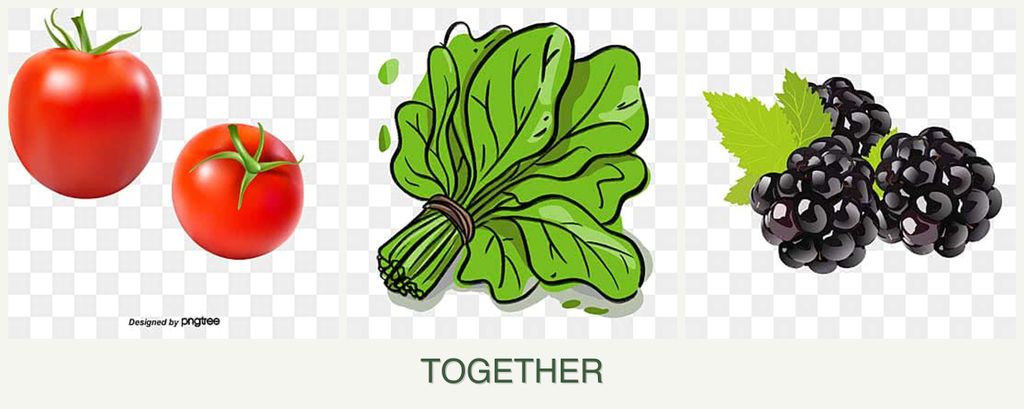 Can you plant tomatoes, spinach and blackberries together?