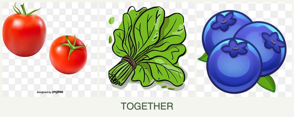 Can you plant tomatoes, spinach and blueberries together?