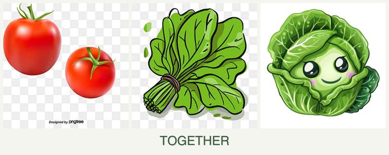 Can you plant tomatoes, spinach and cabbage together?