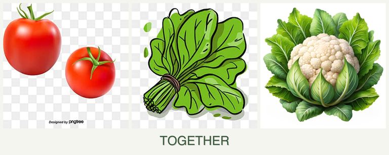 Can you plant tomatoes, spinach and cauliflower together?