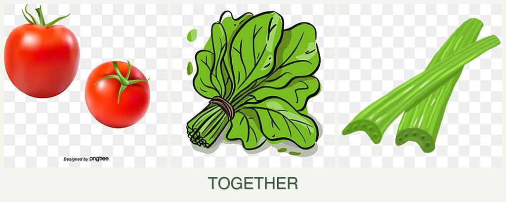 Can you plant tomatoes, spinach and celery together?