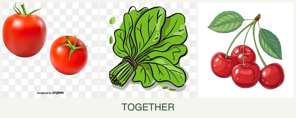 Can you plant tomatoes, spinach and cherries together?