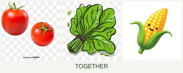 Can you plant tomatoes, spinach and corn together?