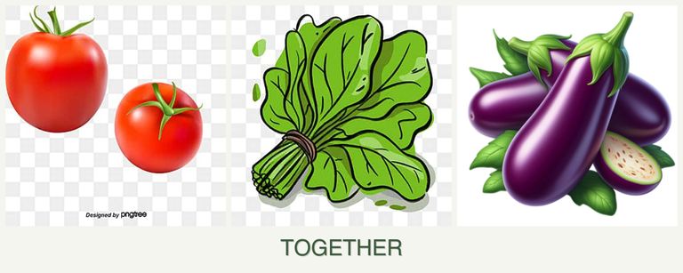 Can you plant tomatoes, spinach and eggplant together?