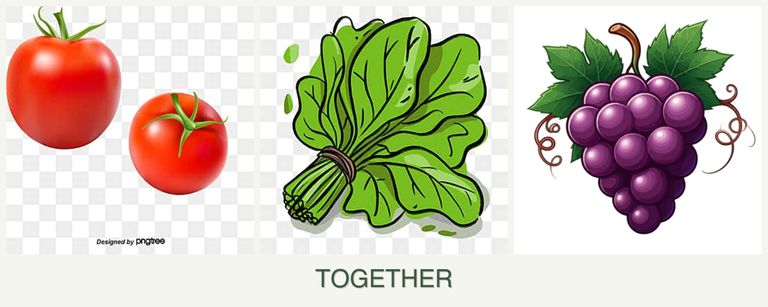 Can you plant tomatoes, spinach and grapes together?