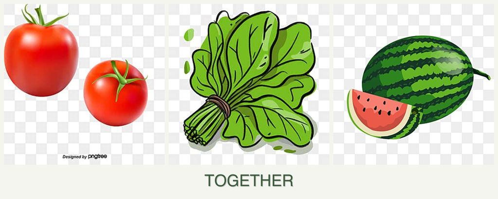 Can you plant tomatoes, spinach and melons together?
