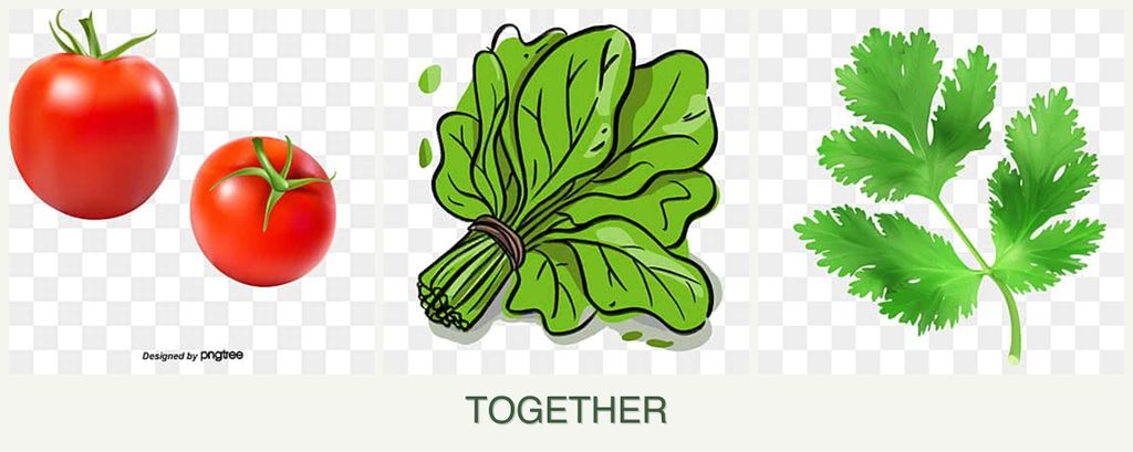 Can you plant tomatoes, spinach and parsley together?