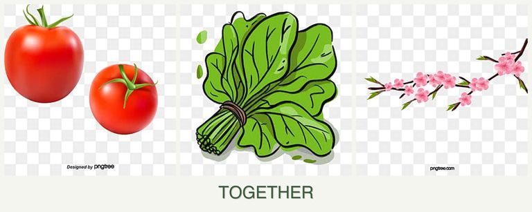 Can you plant tomatoes, spinach and peaches together?