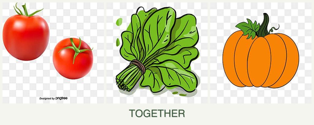 Can you plant tomatoes, spinach and pumpkin together?