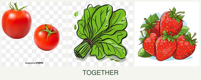Can you plant tomatoes, spinach and strawberries together?