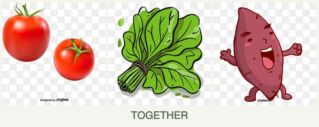 Can you plant tomatoes, spinach and sweet potatoes together?