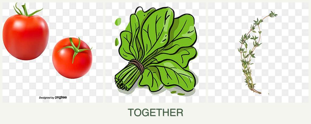 Can you plant tomatoes, spinach and thyme together?