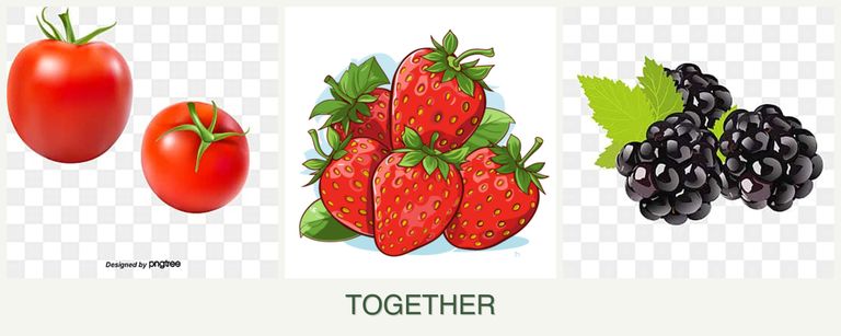 Can you plant tomatoes, strawberries and blackberries together?