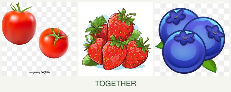 Can you plant tomatoes, strawberries and blueberries together?