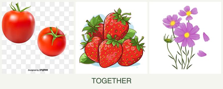 Can you plant tomatoes, strawberries and cosmos together?