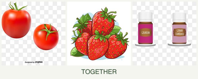Can you plant tomatoes, strawberries and geraniums together?