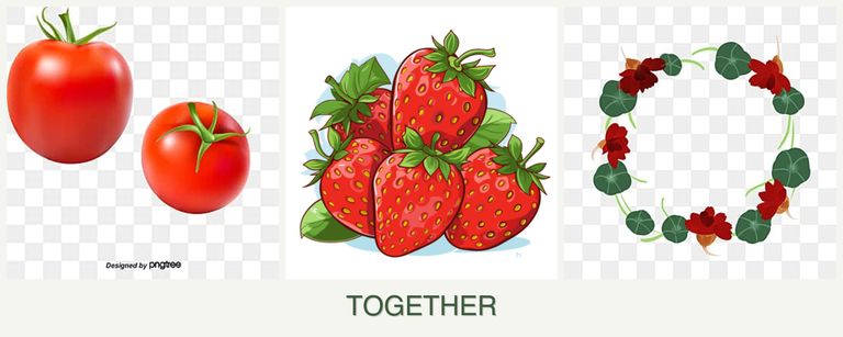 Can you plant tomatoes, strawberries and nasturtiums together?