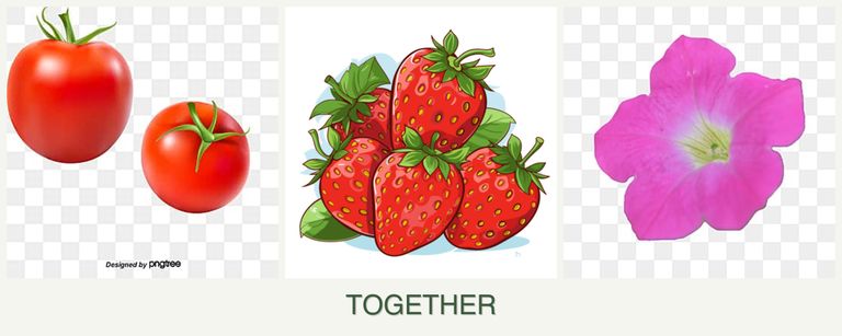 Can you plant tomatoes, strawberries and petunias together?
