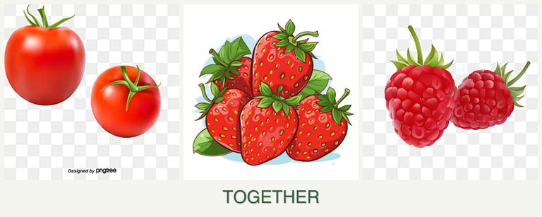 Can you plant tomatoes, strawberries and raspberries together?
