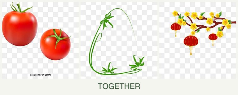 Can you plant tomatoes, tarragon and apricots together?
