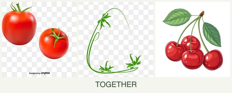 Can you plant tomatoes, tarragon and cherries together?
