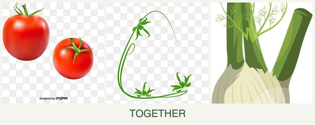 Can you plant tomatoes, tarragon and fennel together?