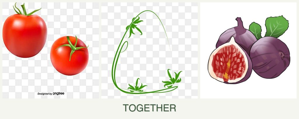 Can you plant tomatoes, tarragon and figs together?