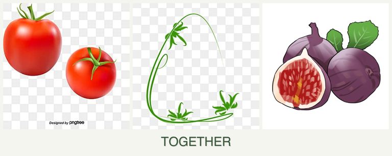 Can you plant tomatoes, tarragon and figs together?