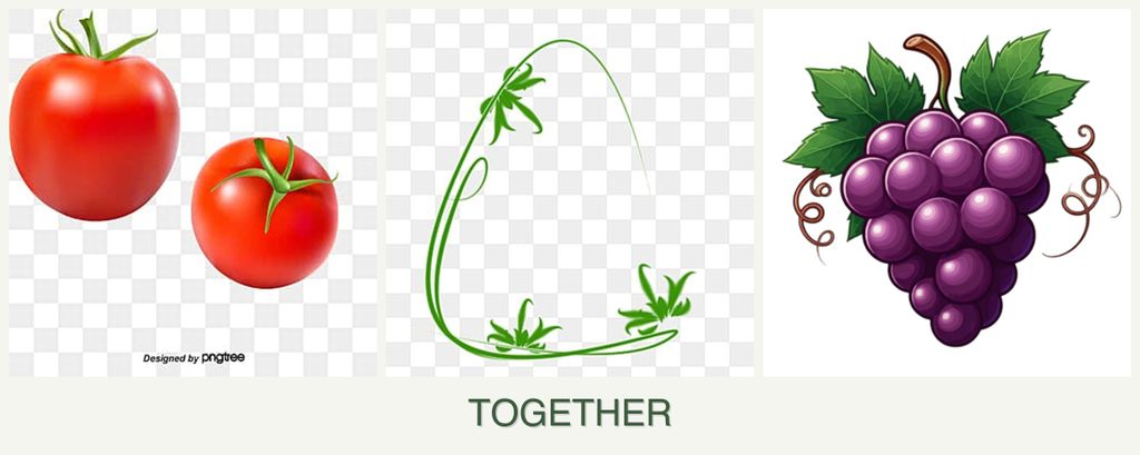 Can you plant tomatoes, tarragon and grapes together?