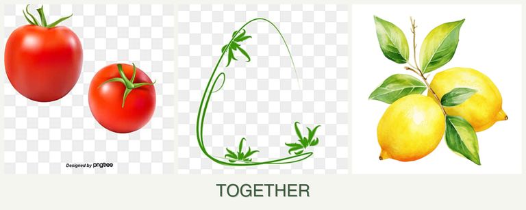 Can you plant tomatoes, tarragon and lemons together?