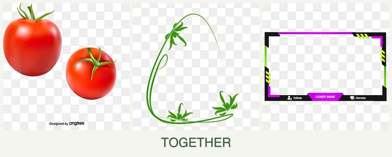 Can you plant tomatoes, tarragon and limes together?