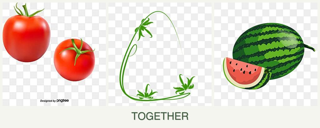 Can you plant tomatoes, tarragon and melons together?