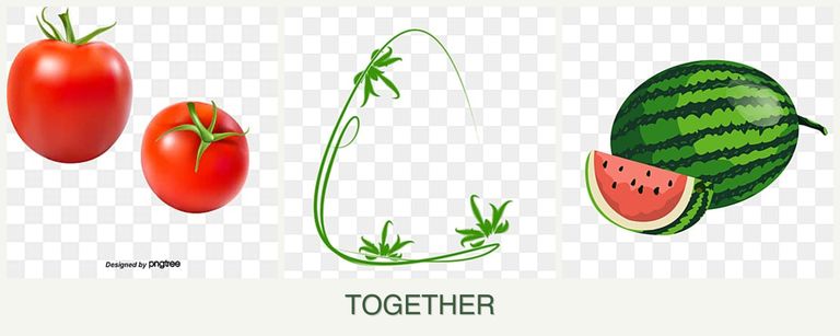 Can you plant tomatoes, tarragon and melons together?
