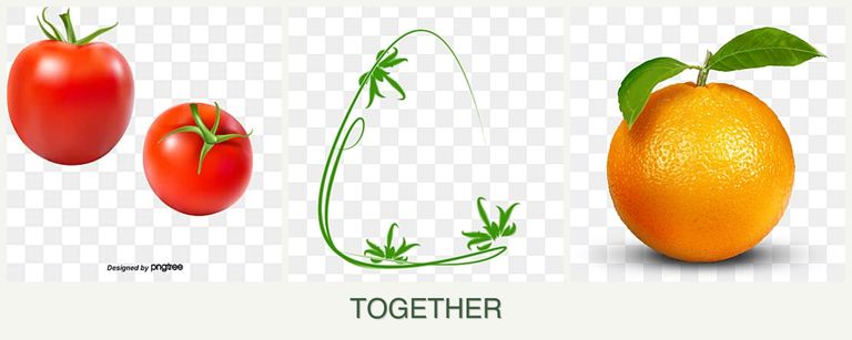 Can you plant tomatoes, tarragon and oranges together?
