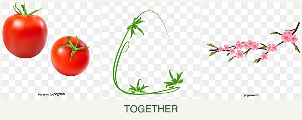 Can you plant tomatoes, tarragon and peaches together?