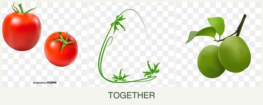 Can you plant tomatoes, tarragon and plums together?