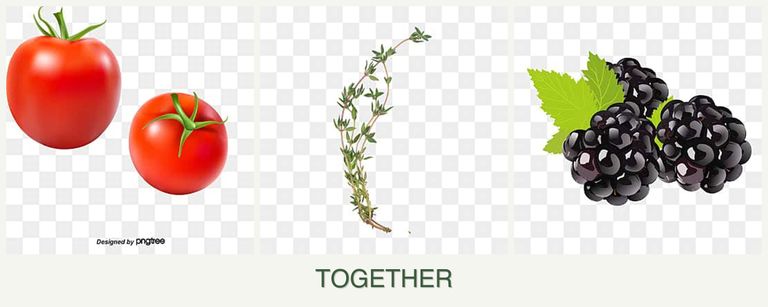Can you plant tomatoes, thyme and blackberries together?