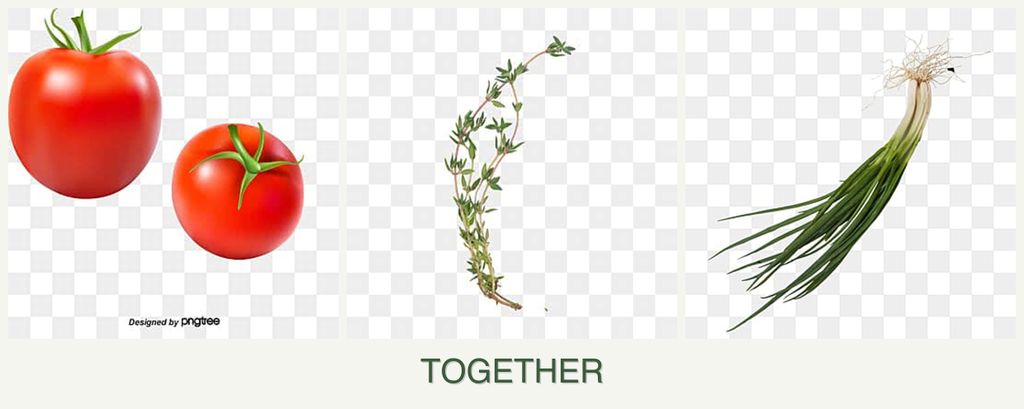 Can you plant tomatoes, thyme and chives together?